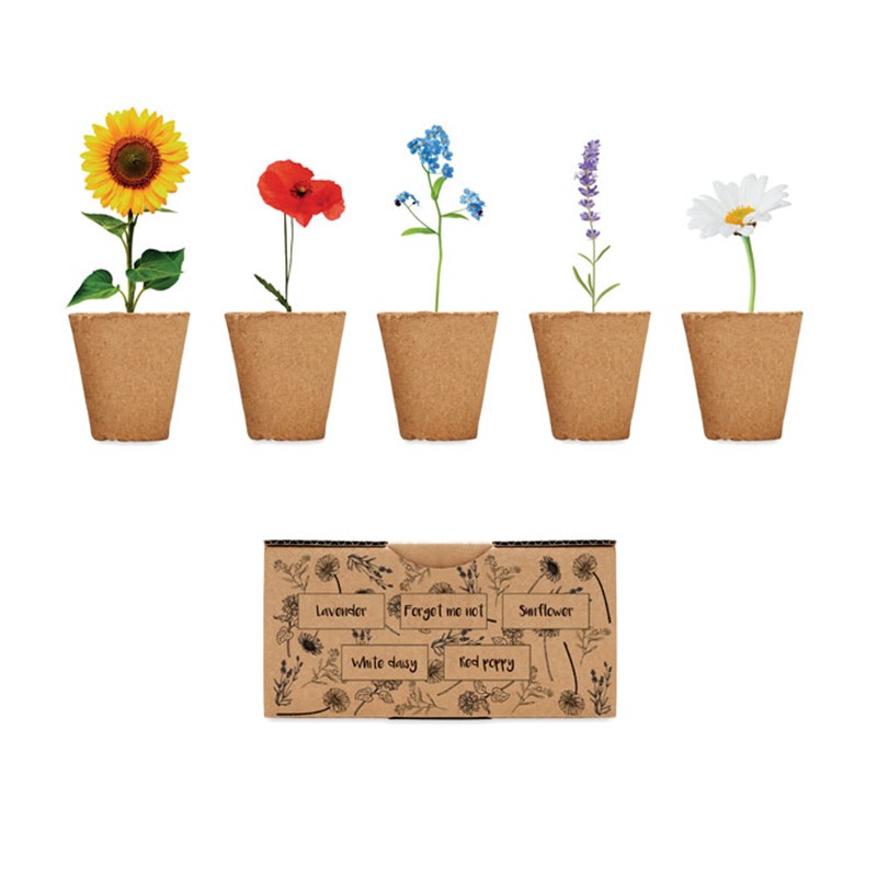 FLOWERS - Flowers growing kit