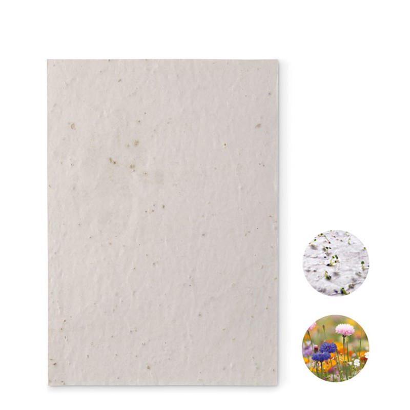 ASIDE - A5 wildflower seed paper sheet